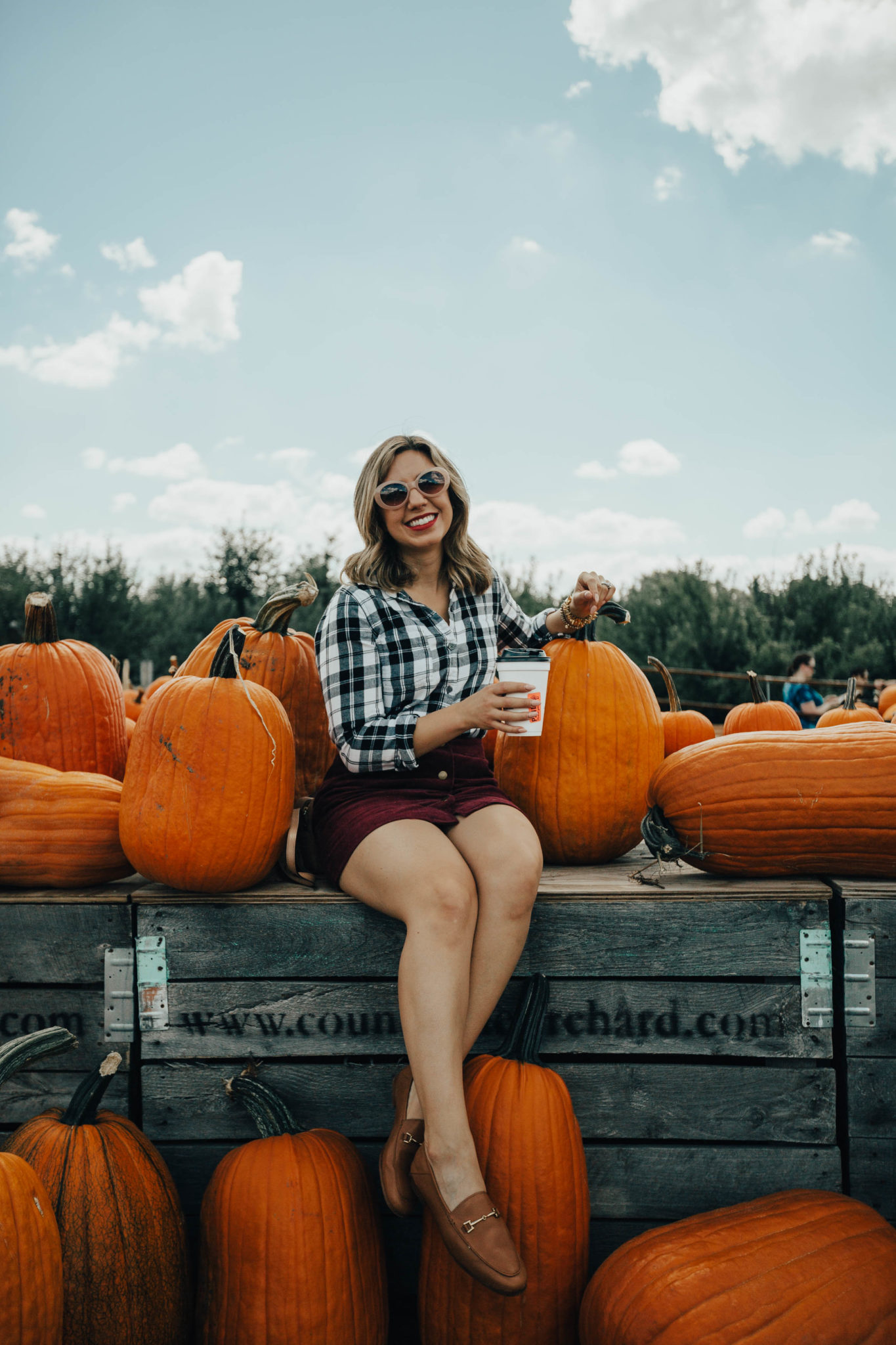 Apple Picking In Indiana featured by top Chicago travel blog, Glass of Glam