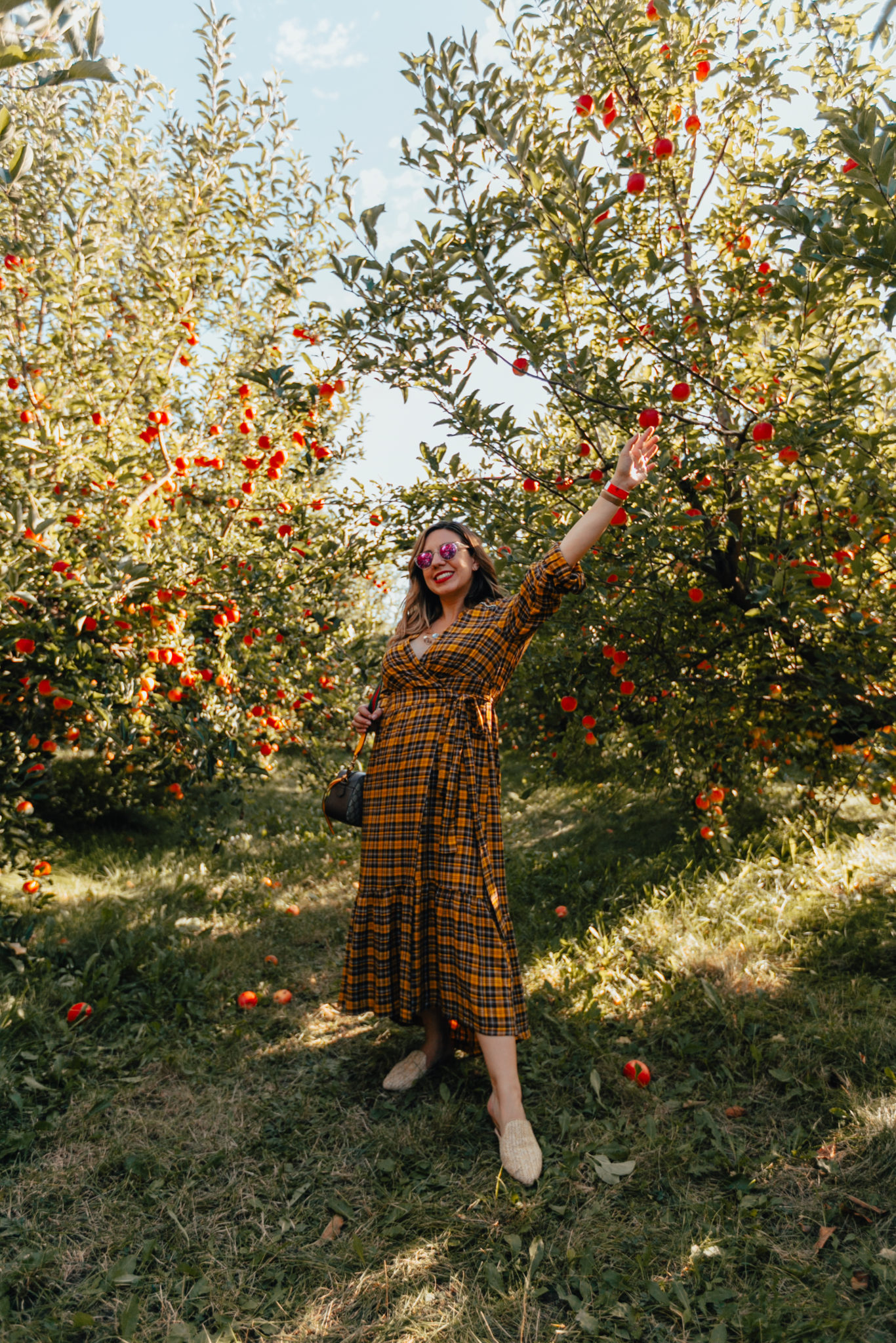 County Line Apple Orchard & On Mondays We Link Up (#135) by popular Chicago blog, Glass of Glam: image of a woman at the County Line Apple Orchard and wearing an Anthropologie Dalton Wrap Maxi Dress, Grande Cosmetics GrandeLIPS Plumping Liquid Lipstick, Semi-Matte, Warby Parker Haskell sunglasses, Steve Madden Mattis Textured Mules, and Gucci GG Supreme messenger bag.
