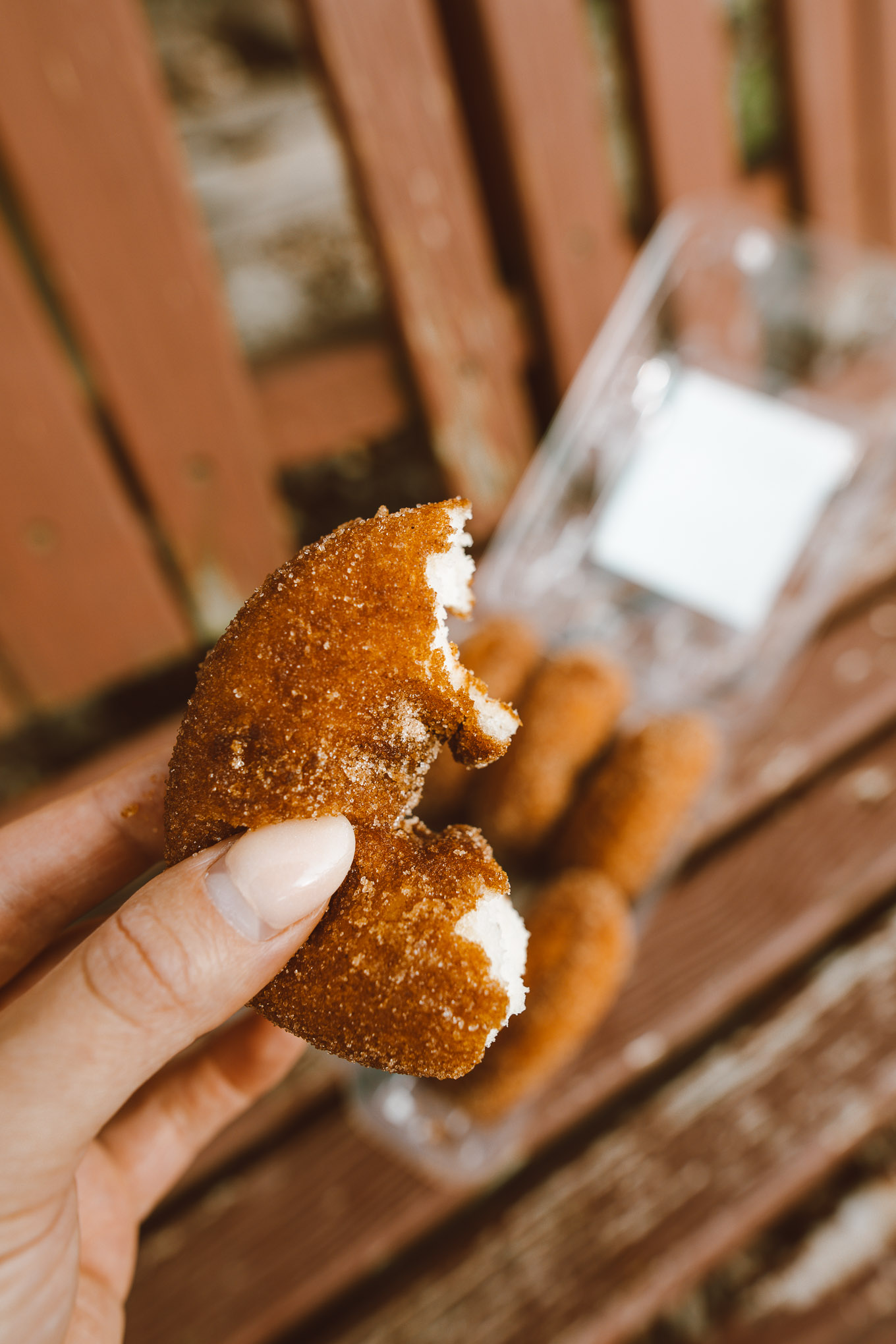 Apple Picking by popular Chicago lifestyle blog, Glass of Glam: image of a half eaten apple cider donut.